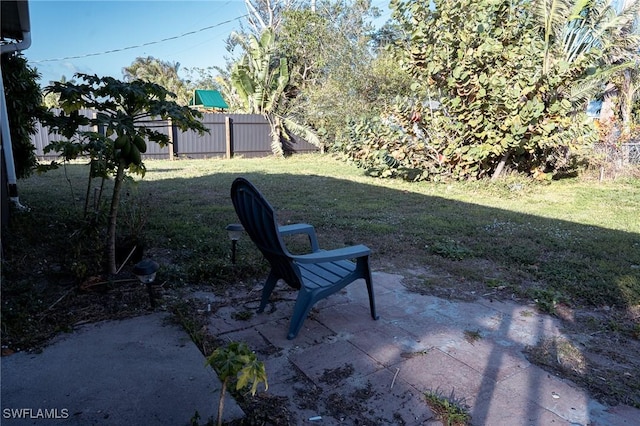 view of yard featuring a patio area and fence