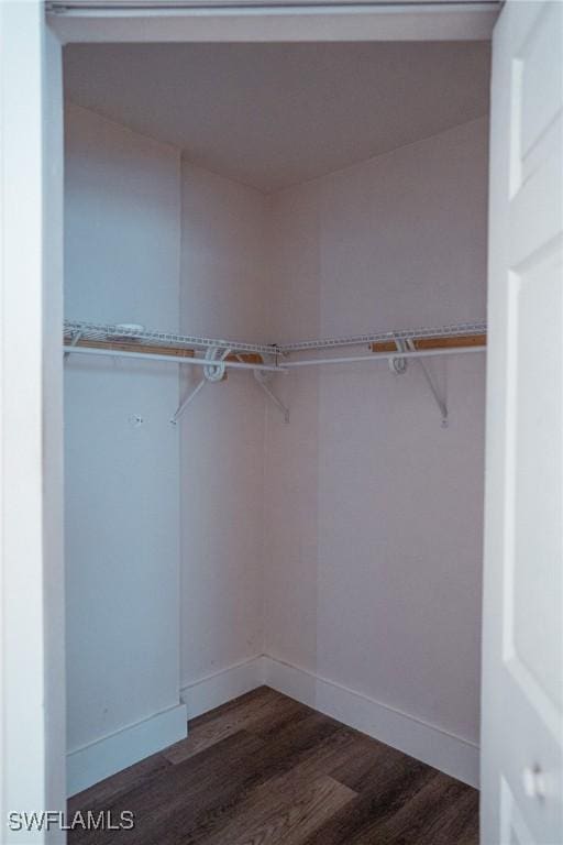 walk in closet featuring dark wood-style floors