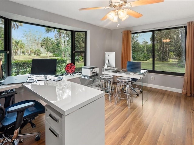 office area featuring light wood finished floors, a healthy amount of sunlight, a ceiling fan, and baseboards