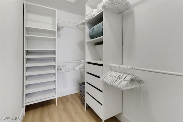 walk in closet with light wood-type flooring