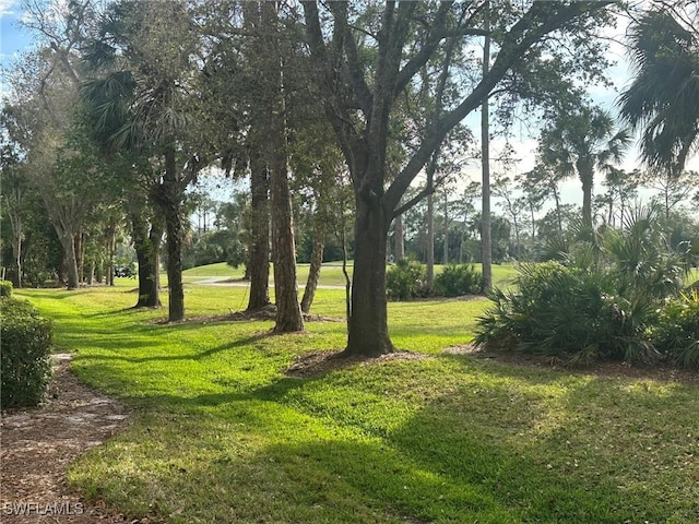 view of community featuring a yard