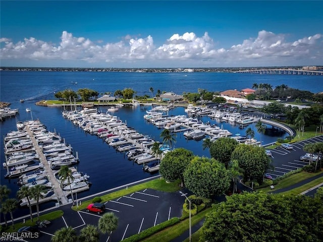 bird's eye view with a water view