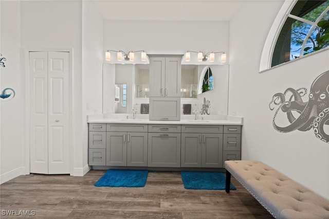 bathroom with a closet, double vanity, a sink, and wood finished floors