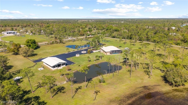 bird's eye view featuring a water view and a wooded view