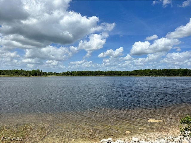 515 Shady Hollow Blvd W, Naples, FL 34120