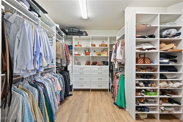 walk in closet with light wood-style flooring