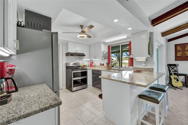 kitchen featuring under cabinet range hood, stainless steel appliances, a peninsula, a sink, and a raised ceiling