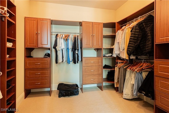 spacious closet featuring light carpet