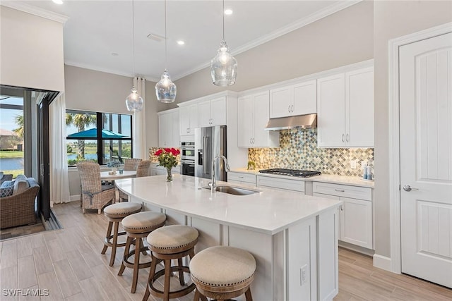 kitchen featuring appliances with stainless steel finishes, a sink, crown molding, under cabinet range hood, and backsplash