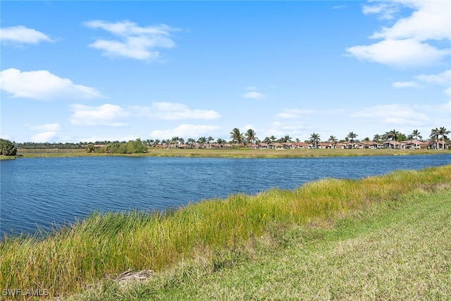 property view of water