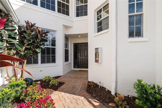 doorway to property with stucco siding