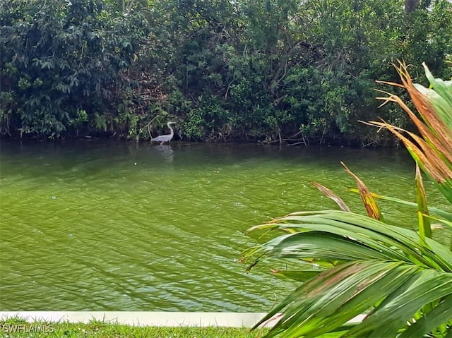 view of water feature