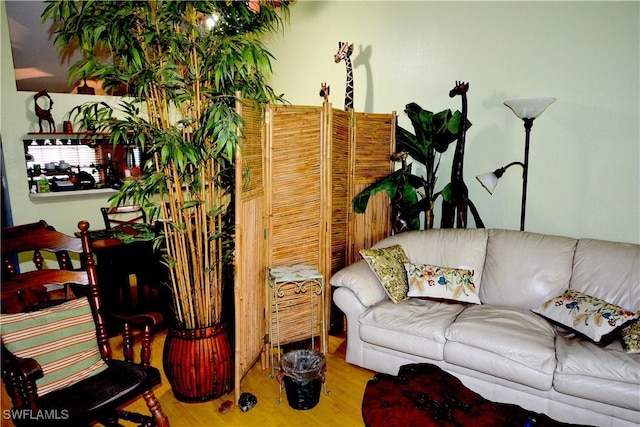 living room featuring wood finished floors