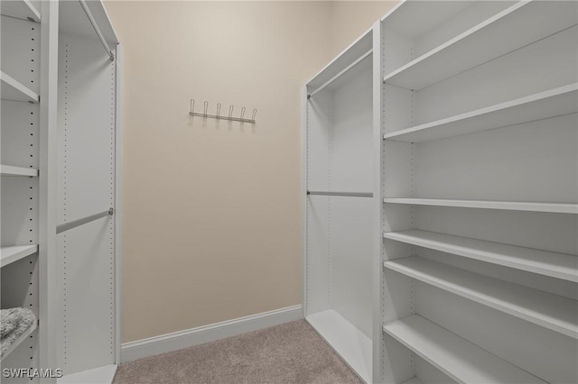 spacious closet with carpet