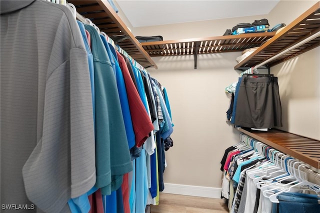 spacious closet featuring wood finished floors