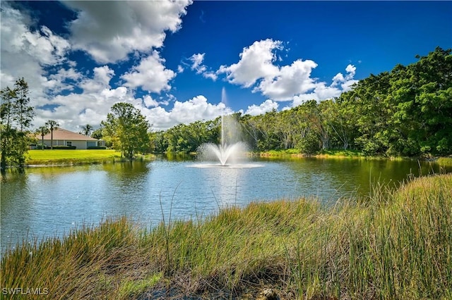 view of water feature