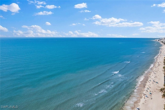 view of water feature featuring a beach view