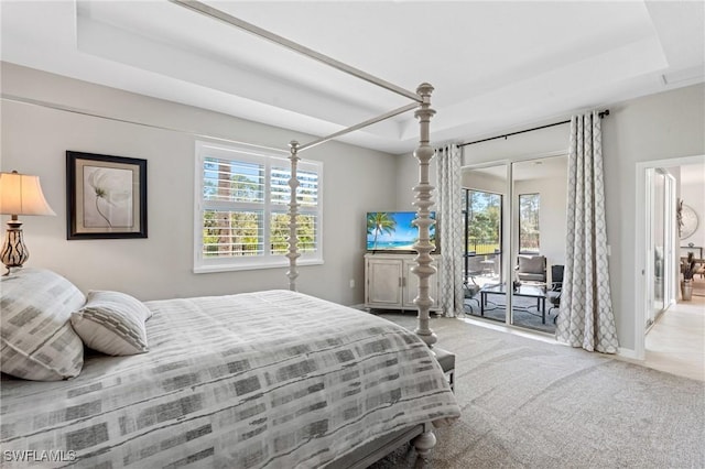 carpeted bedroom featuring access to exterior, multiple windows, and a tray ceiling