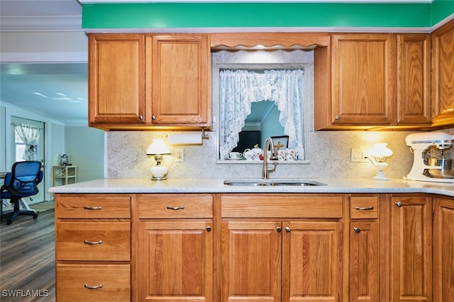 kitchen featuring light countertops, decorative backsplash, a sink, and crown molding