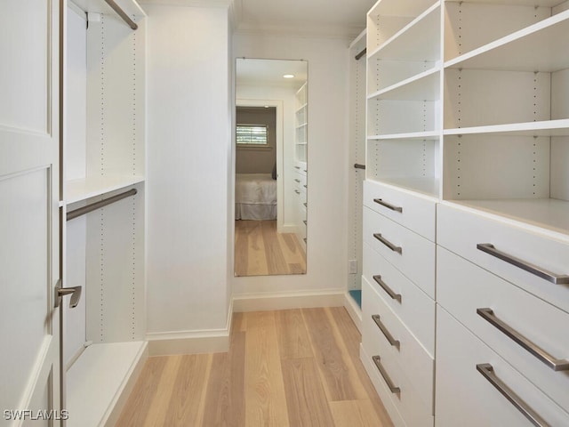 spacious closet with light wood-style floors