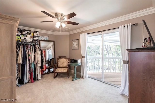 sitting room featuring a ceiling fan, carpet, and crown molding