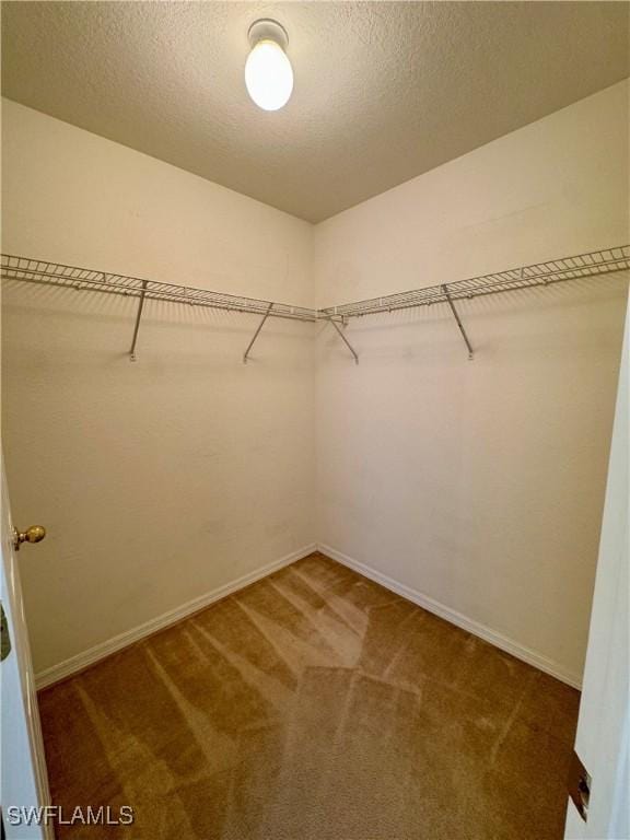 walk in closet with carpet