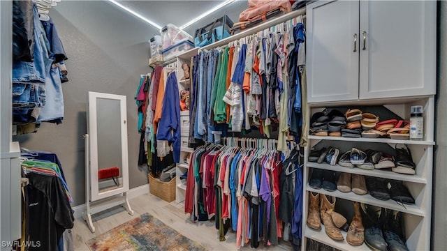 view of spacious closet