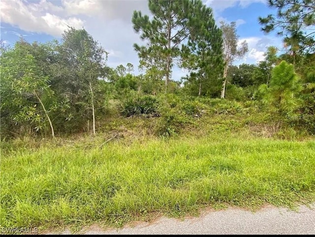 11258 3rd Ave, Punta Gorda FL, 33955 land for sale