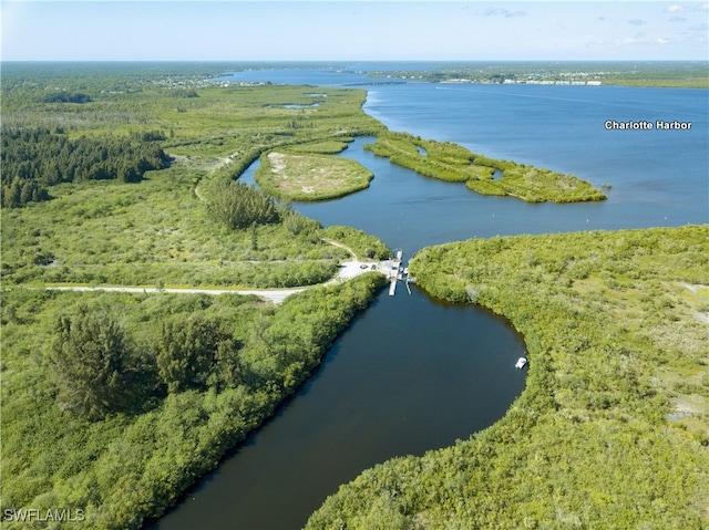 birds eye view of property with a water view and a view of trees