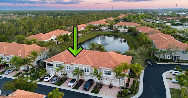 aerial view featuring a water view and a view of trees