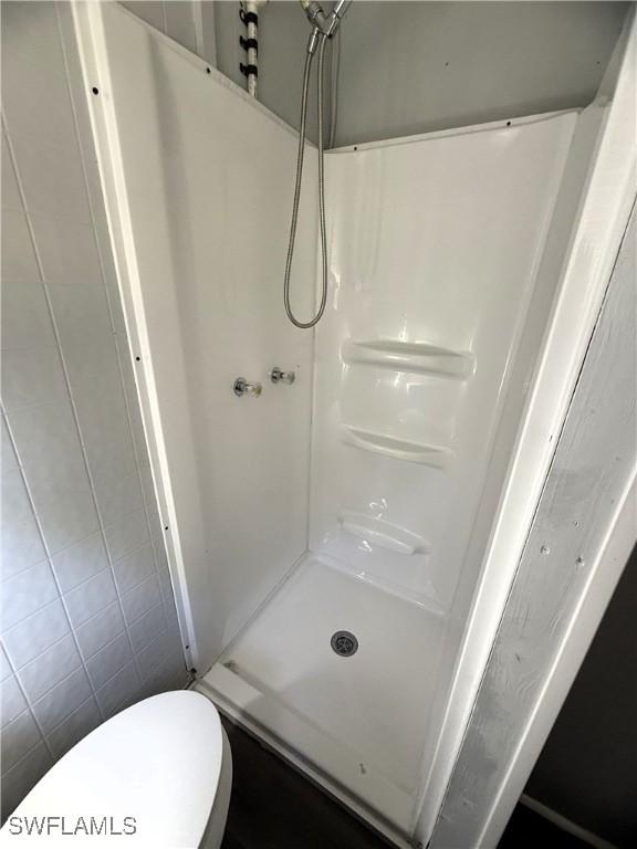 bathroom with a stall shower and toilet