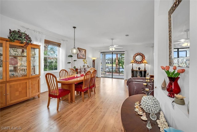 dining room with ceiling fan, plenty of natural light, and light wood-style floors