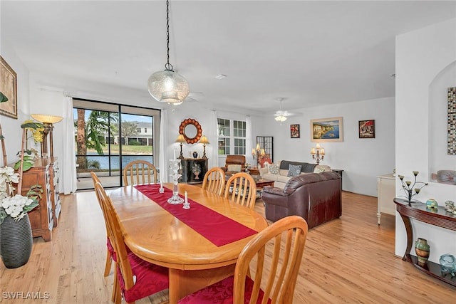 dining area with a ceiling fan and light wood-style floors