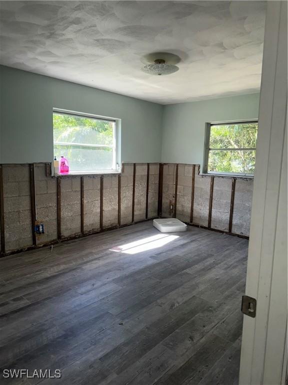 empty room featuring wood finished floors