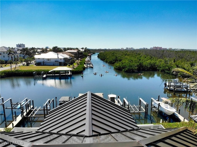 dock area featuring a water view and boat lift