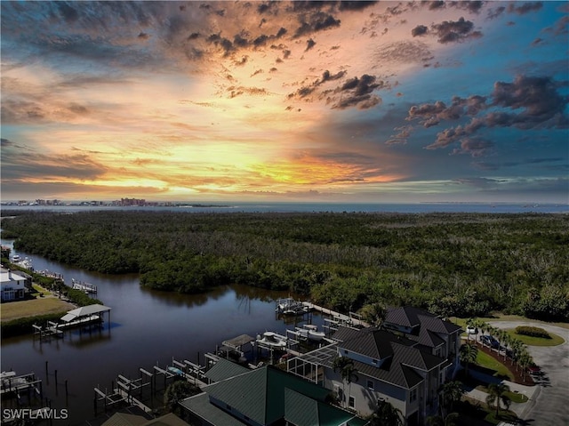 drone / aerial view with a water view and a forest view