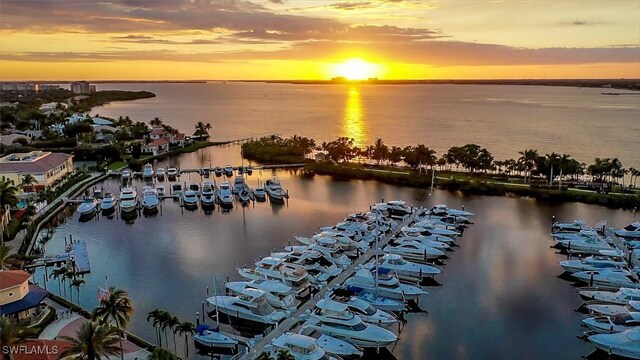 14328 Harbour Landings Dr Unit 18C, Fort Myers, FL 33908 - water view featuring numerous boat docks
