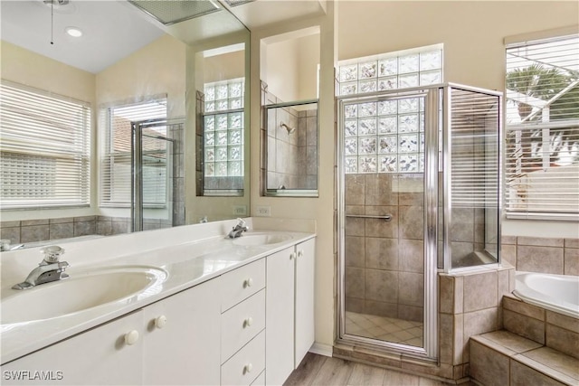 full bathroom featuring plenty of natural light, a sink, and a shower stall