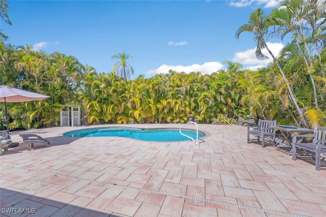 pool featuring a patio