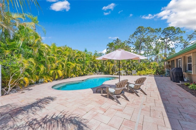 outdoor pool featuring a grill and a patio