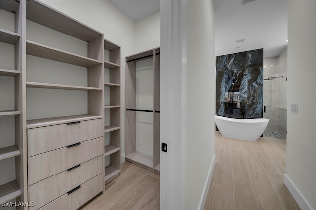 spacious closet featuring light wood finished floors