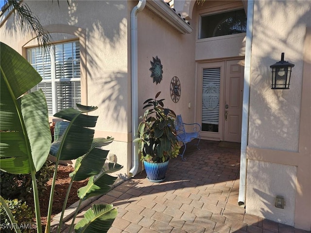 doorway to property with a patio and stucco siding