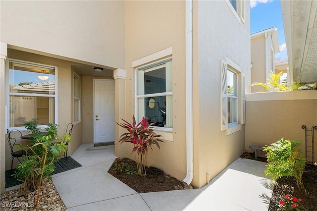 view of exterior entry featuring stucco siding