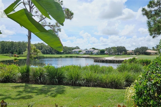 view of water feature