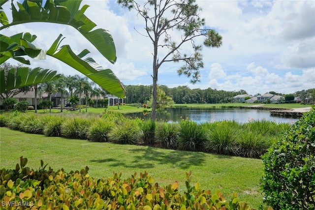 view of water feature