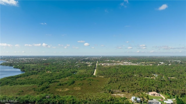 aerial view featuring a water view and a view of trees