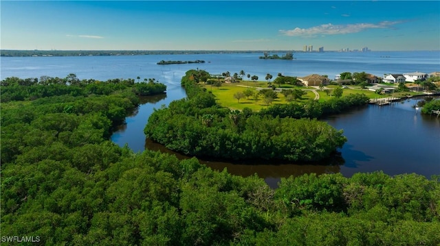 bird's eye view with a water view