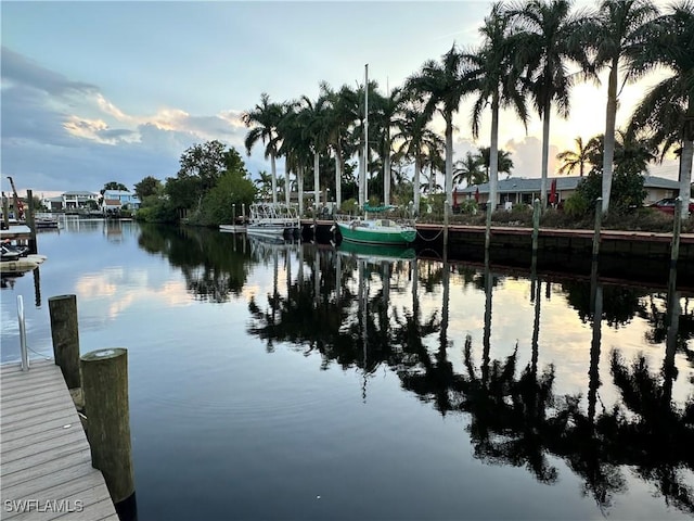 dock area featuring a water view