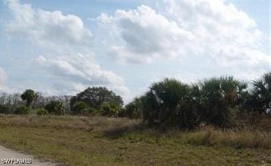 Saturn Loop, Labelle FL, 33935 land for sale