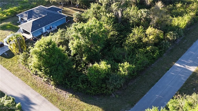 3832 Hopevale St, Fort Myers FL, 33905 land for sale